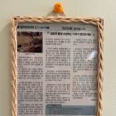 담모찌 이미지
