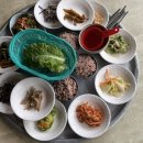 천년 보리밥 네이버블로그
