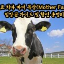마더농장 이미지
