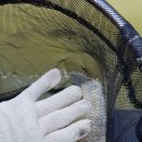 단봉낚시터 이미지