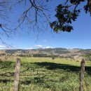 카프농장 이미지