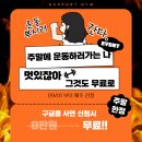 라포르짐 네이버블로그