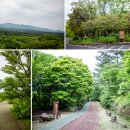 고산대광수공인중개사사무소 | 🌄 “새소리와 숲향기 가득! 힐링 스팟 한라생태숲” - 무료 입장! 333종 28만 그루의 생태 복원 숲