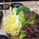 참가자미나라
