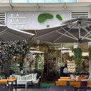 동인마트 | 🇻🇳 베트남/호치민,붕따우 : 붕따,우지만 붐업(멜리아 호짬 리조트 후기)