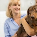 Dr.j 동물병원 이미지