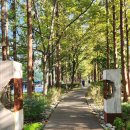 K행정사 이미지