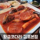 누나코다리 이미지