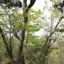 정선군 도사곡샘터 이미지