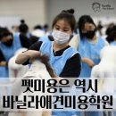 바닐라애견미용학원