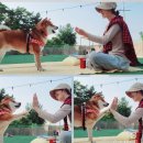 플레이하운드 이미지