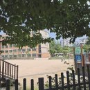 상지초교 이미지