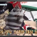 격포프로낚시