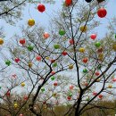 덕현허브 이미지