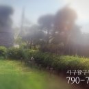 사구팔구공인중개사사무소 이미지