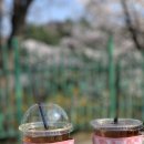 광광다방 이미지