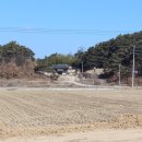 왕신1리 이미지