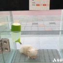 대상인력남문 이미지