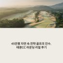 태광교통 | 45만평 자연 속 전략 골프의 진수, 태광CC 라운딩 리얼 후기