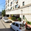 팔레스텔 이미지