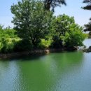 어은1리마을회관 이미지