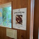 사이쿠보 | 🍚 [부산/북구/화명] "슌사이쿠보" 장어덮밥 미슐랭 맛집 (내돈내산 솔직후기)