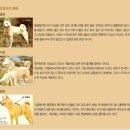 각골 이미지