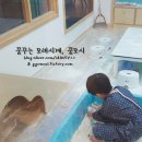 라벨리아이스크림