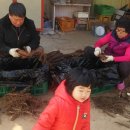 알뜰농장 이미지