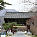 마당(삼남) | 장성 백암산 백양사(長城 白巖山 白羊寺).전남