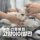 고양이이발관(부천신중동점) 네이버블로그