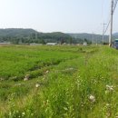 가보공인중개사사무소 이미지