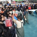 방어축제거리 이미지