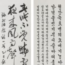 넥스트런 뉴시스