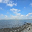 배곧한울공원 이미지