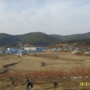 단밀초등학교 이미지