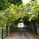 고양누리길 13코스 오선누리길 이미지