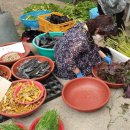 참새방앗간 이미지