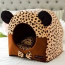 오로라펫 이미지