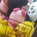 알파게임랜드 | (대구북구)경대북문 인형뽑기방 소개 및 후기 2탄/뽑기뽀끼,보물섬,뽀꼬뽀꼬