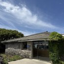 살랑제주 | 제주공항 근처 조용한 감성 카페, '커피냅로스터스 제주' 에그타르트 &amp; 시그니처 커피 후기