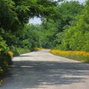 우륵문화마당 이미지