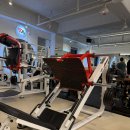 뉴텍 파워레그프레스 , 인클라인체스트 해머 판매합니다 이미지