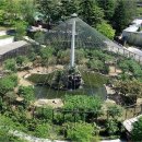 신축호랑이사 이미지