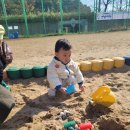 창말체육관 Daum카페