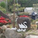 힐링캐슬펜션 이미지