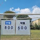 안덕초등학교 이미지