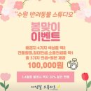 수원 강아지 사진 &#39;아임달 스튜디오&#39; 반려동물 사진관 후기