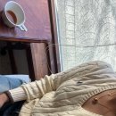 토스티데이즈
