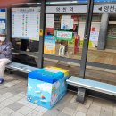 영천공설시장 이미지